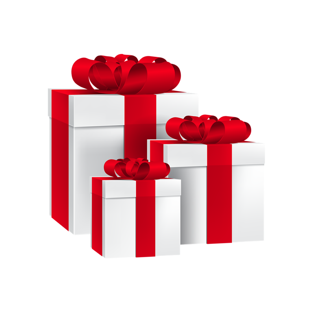 Sevich Hair Fiber Kit as a gift